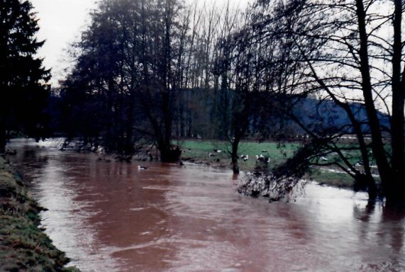 Starkregen Juni 1994